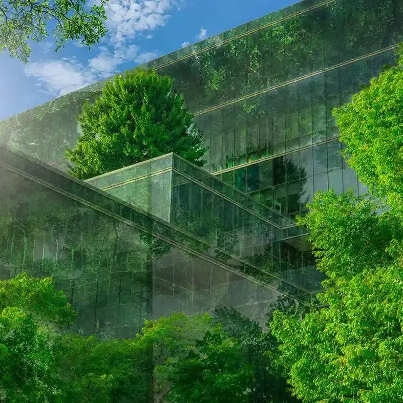 Office in a green, sustainable environment